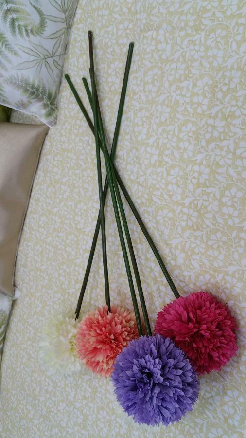 Apartamento Ideal Familias Y Grupos Vigo Zewnętrze zdjęcie