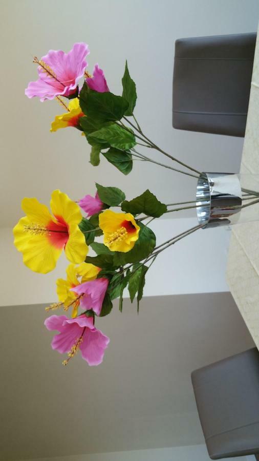 Apartamento Ideal Familias Y Grupos Vigo Zewnętrze zdjęcie